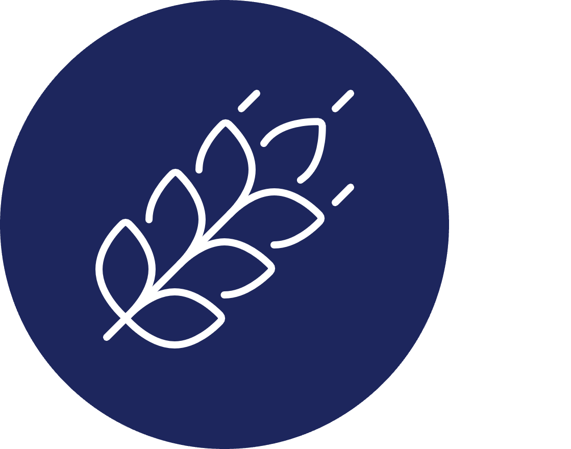 oats icon
